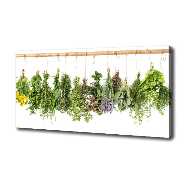 Foto canvas Kruiden aan een touwtje