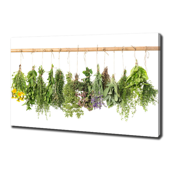 Foto canvas Kruiden aan een touwtje