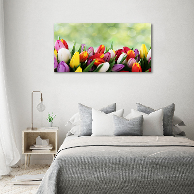 Foto canvas Kleurrijke tulpen