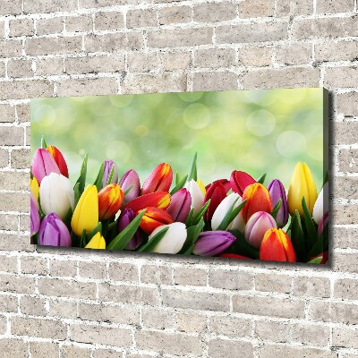 Foto canvas Kleurrijke tulpen