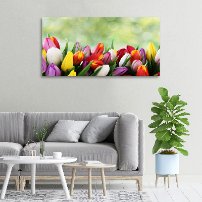 Foto canvas Kleurrijke tulpen