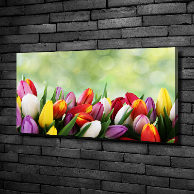 Foto canvas Kleurrijke tulpen