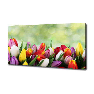 Foto canvas Kleurrijke tulpen