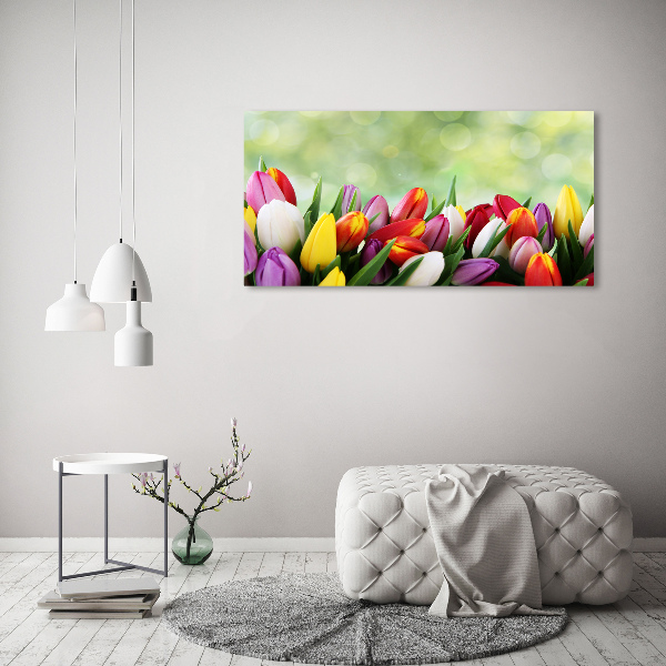 Foto canvas Kleurrijke tulpen