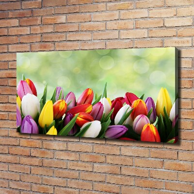 Foto canvas Kleurrijke tulpen