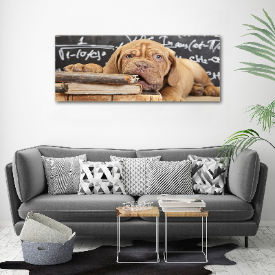 Foto canvas De hond bijt in het boek.