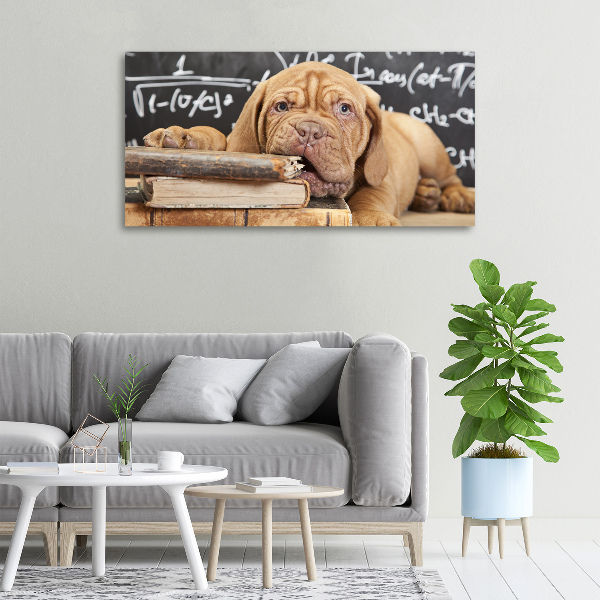 Foto canvas De hond bijt in het boek.