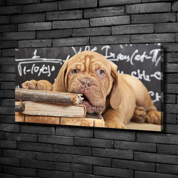 Foto canvas De hond bijt in het boek.