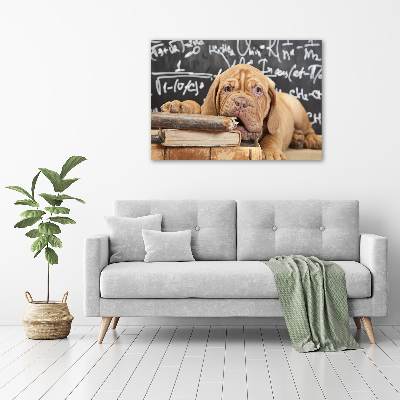 Foto canvas De hond bijt in het boek.