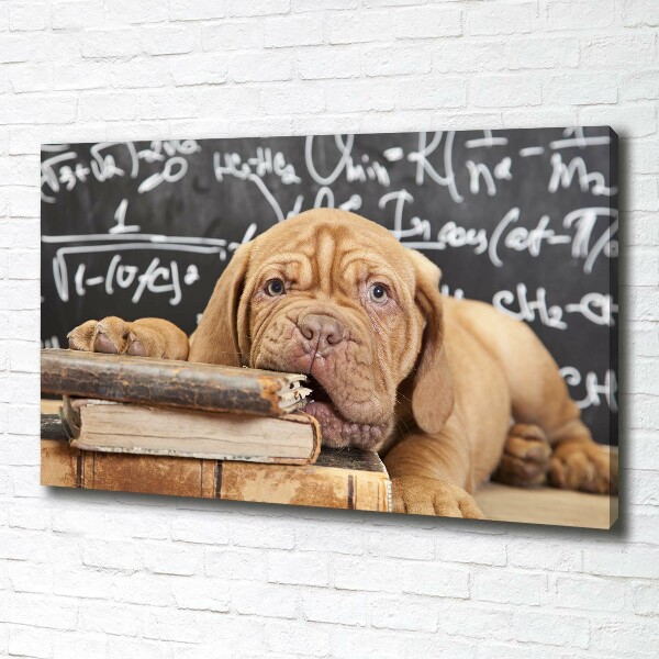 Foto canvas De hond bijt in het boek.