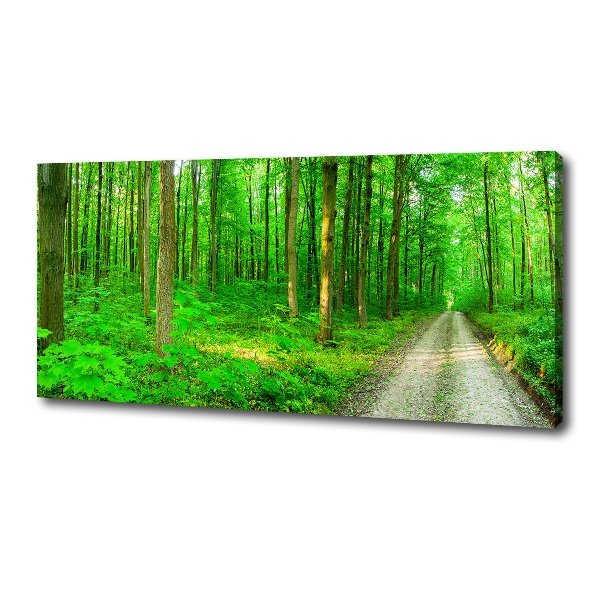 Canvas foto Bomen in het bos