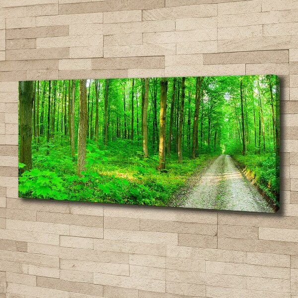 Canvas foto Bomen in het bos
