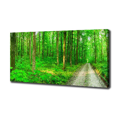 Canvas foto Bomen in het bos
