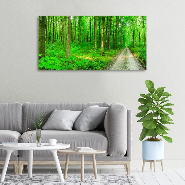 Canvas foto Bomen in het bos
