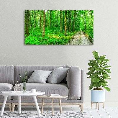Canvas foto Bomen in het bos