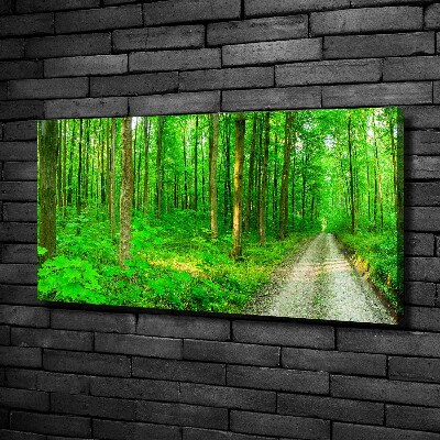 Canvas foto Bomen in het bos