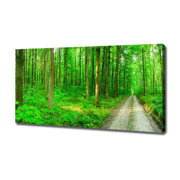 Canvas foto Bomen in het bos