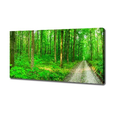 Canvas foto Bomen in het bos