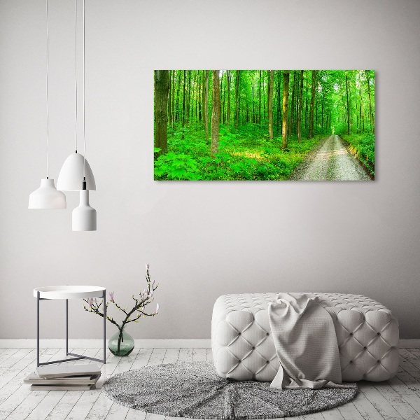 Canvas foto Bomen in het bos