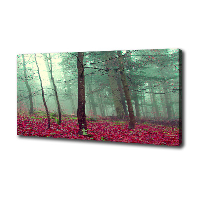 Foto canvas Herfstbladeren