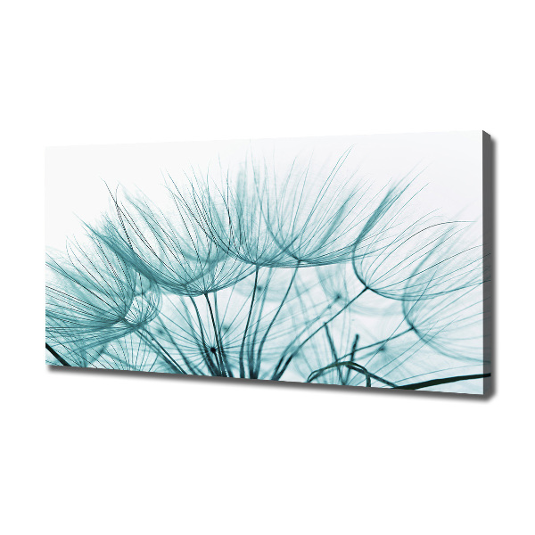 Foto op canvas Paardenbloemzaden