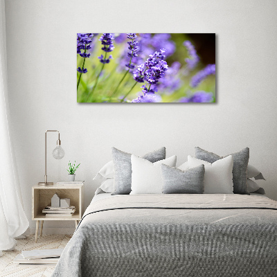 Canvas foto Lavendel