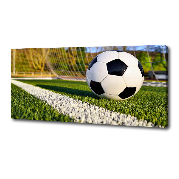 Canvas foto De bal ligt in het doel.