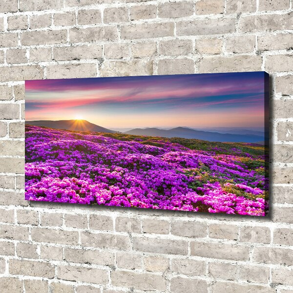 Schilderij op canvas Bloemen in de bergen