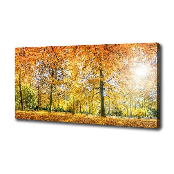 Foto op canvas Bos in de herfst
