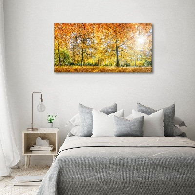 Foto op canvas Bos in de herfst