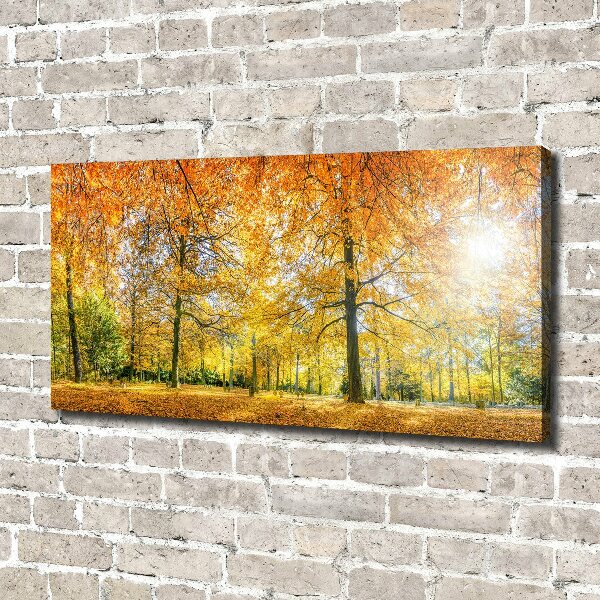 Foto op canvas Bos in de herfst