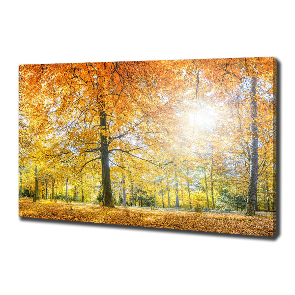 Foto op canvas Bos in de herfst