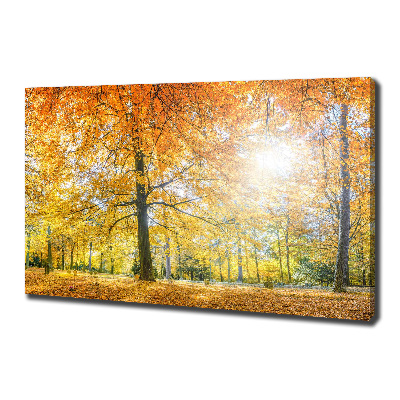 Foto op canvas Bos in de herfst
