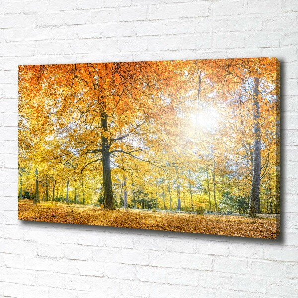Foto op canvas Bos in de herfst