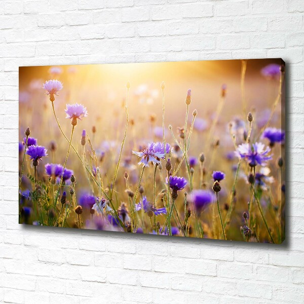 Foto op canvas Wilde bloemen