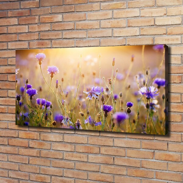 Foto op canvas Wilde bloemen