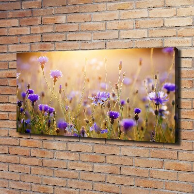 Foto op canvas Wilde bloemen