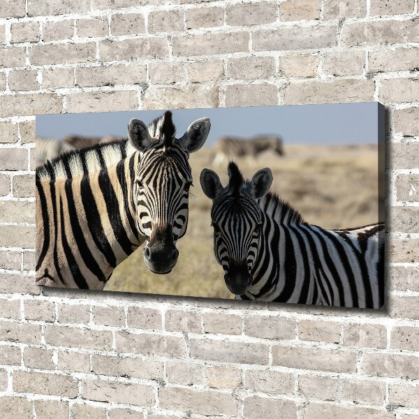 Canvas schilderij Twee zebra's
