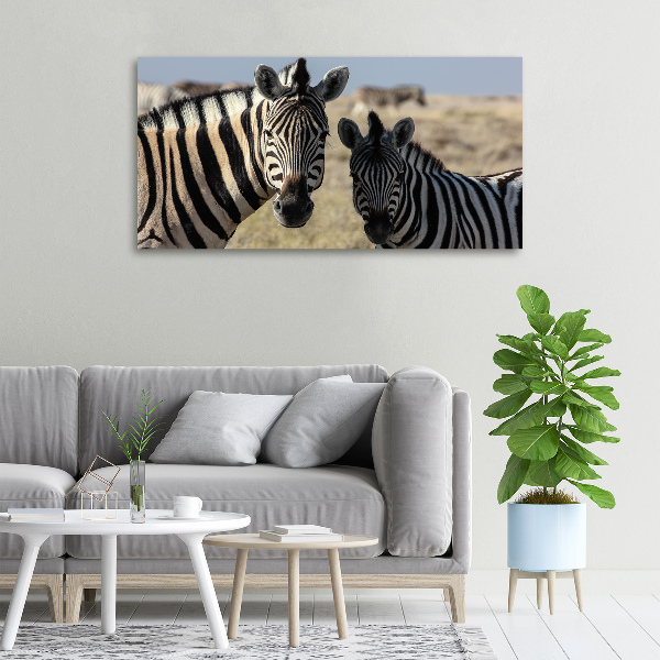 Canvas schilderij Twee zebra's