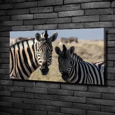 Canvas schilderij Twee zebra's