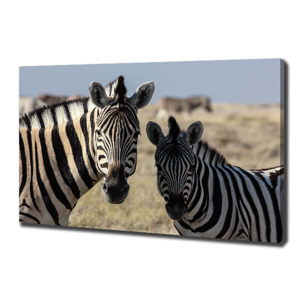 Canvas schilderij Twee zebra's