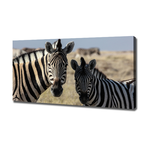 Canvas schilderij Twee zebra's
