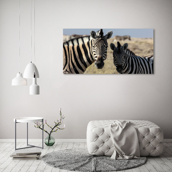 Canvas schilderij Twee zebra's