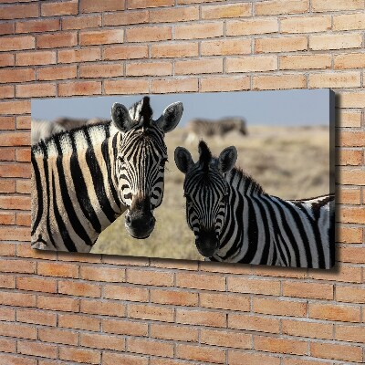 Canvas schilderij Twee zebra's