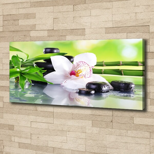 Schilderij op canvas Orchidee