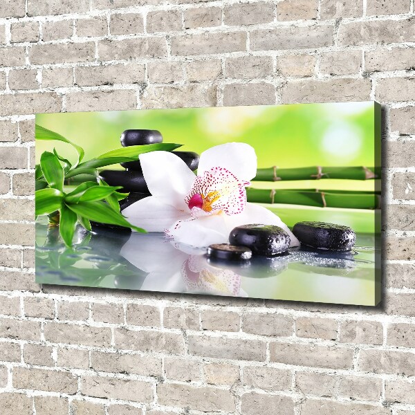 Schilderij op canvas Orchidee