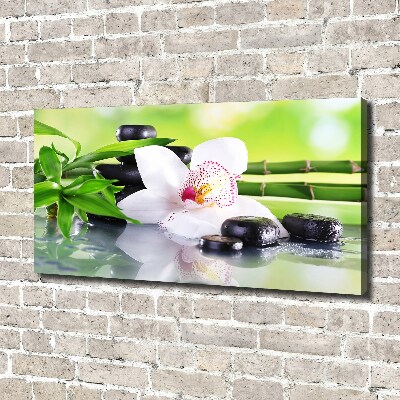 Schilderij op canvas Orchidee