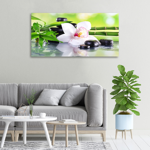 Schilderij op canvas Orchidee