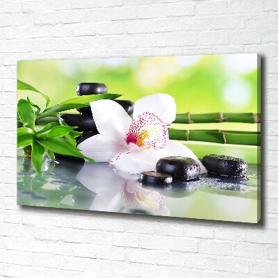 Schilderij op canvas Orchidee