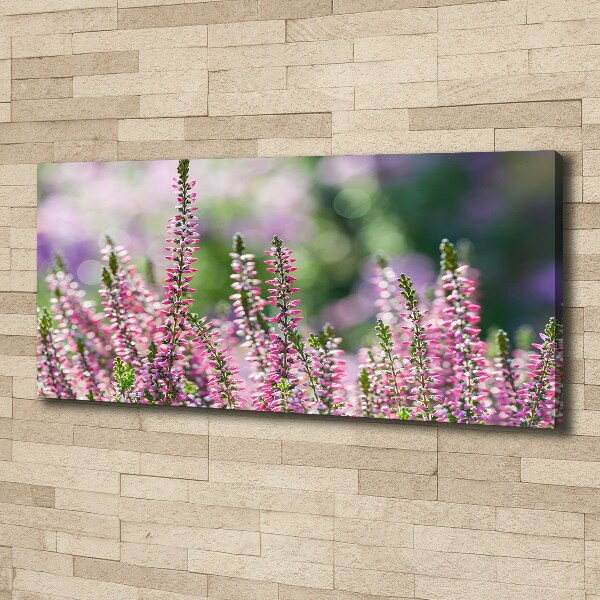 Foto op canvas Heidebloemen